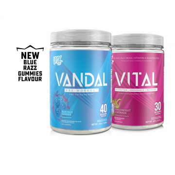 VNDL Project Vandal 40 Servings + Vital 30 Servings Combo